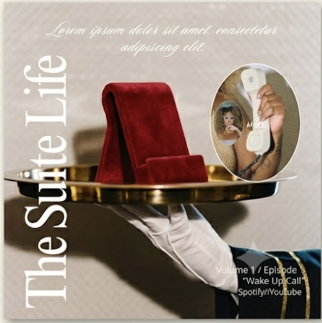 The Suite Life episode cover with gold serving tray